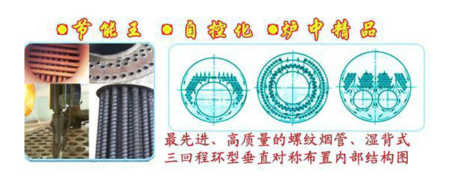 CLHG智能溫控洗浴供暖鍋爐