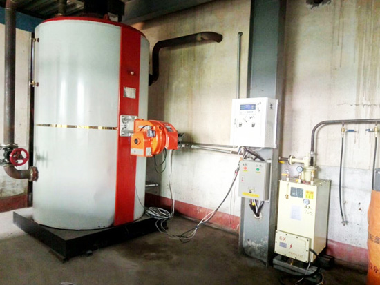 0.35噸燃?xì)馊加蜔崴┡仩t